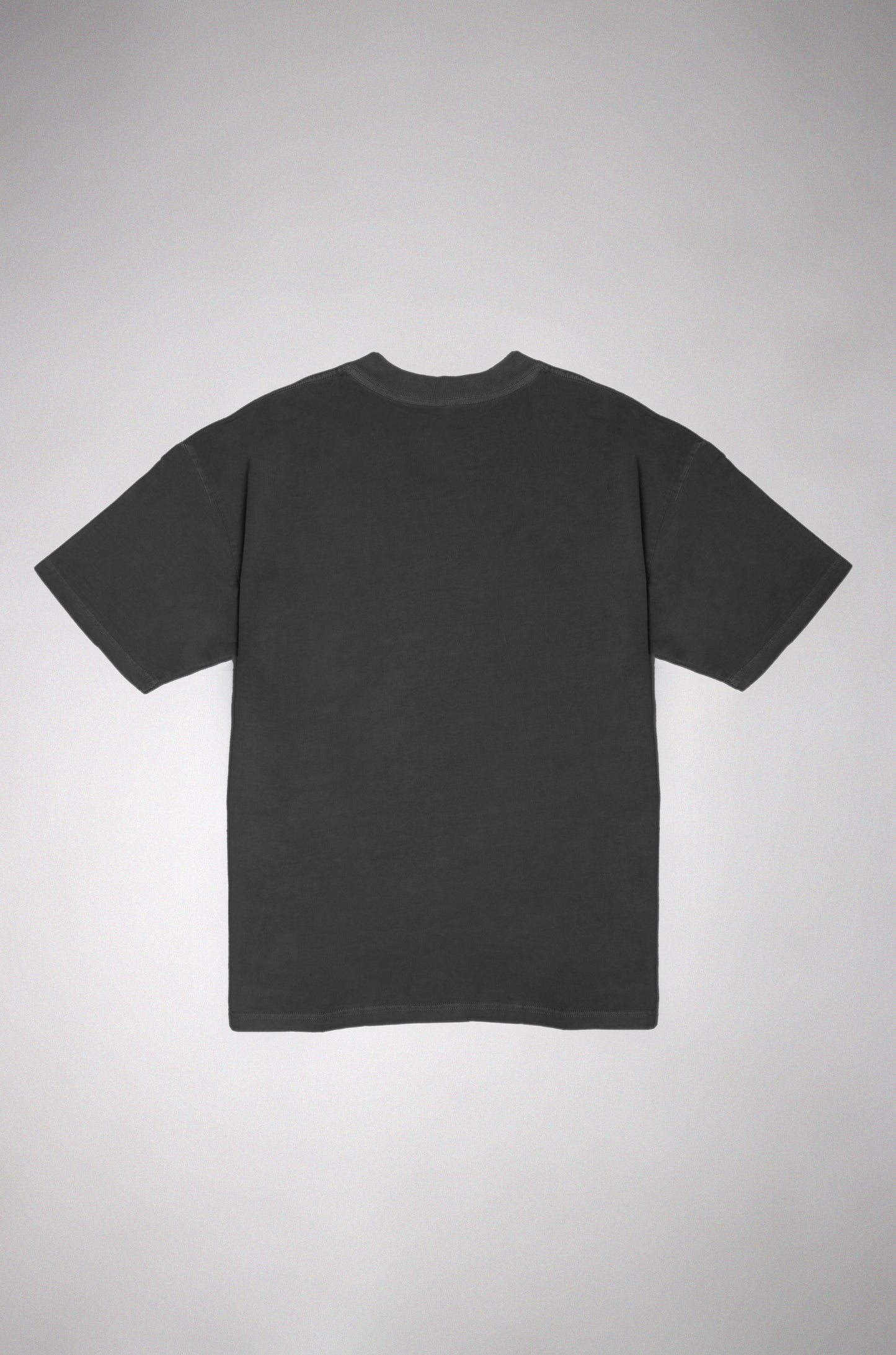 Oversized T-shirt in washed grey, weight 260